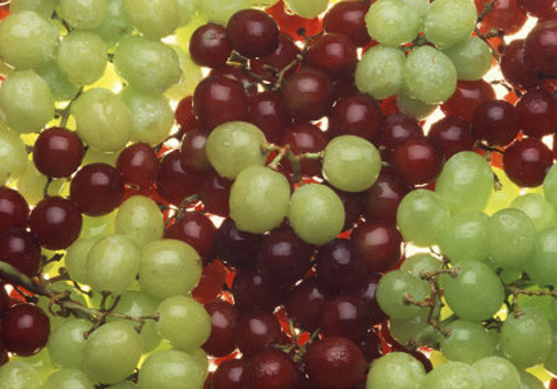 grapes.jpg