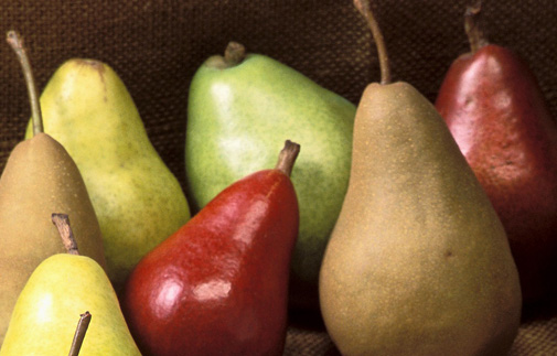 pears.jpg