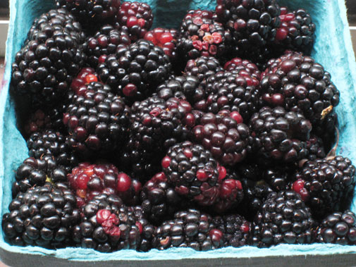 blackberry.jpg