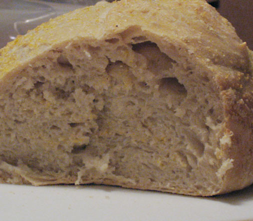 bread_cross_section.jpg