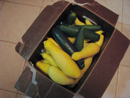 box_zucchini_squash.jpg