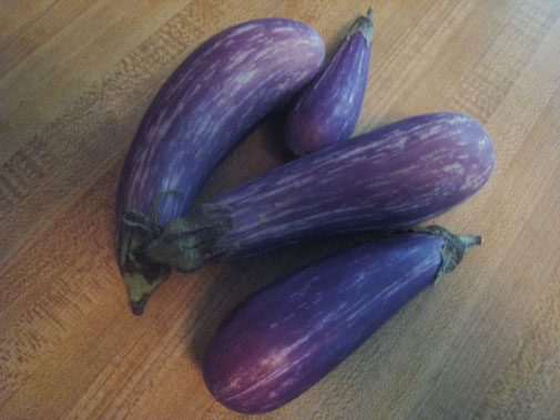 aubergine.jpg