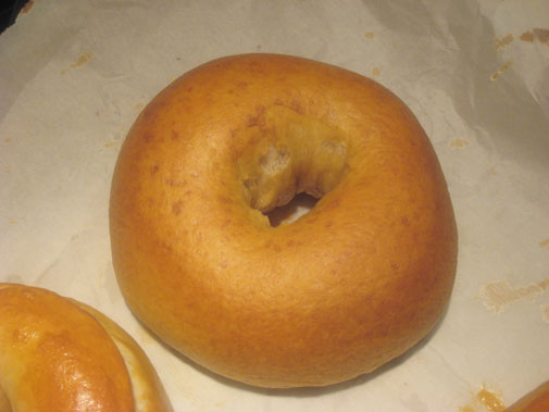 bagel.jpg