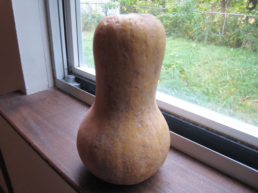 butternut_squash.jpg