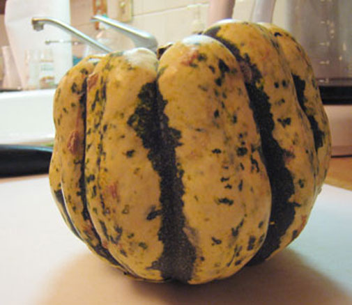 carnival_squash.jpg