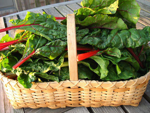 swiss_chard_basket.jpg